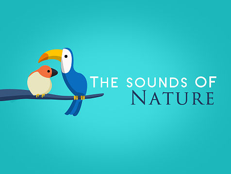 The sounds of nature