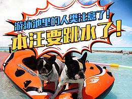 佩玛斯特微信推广 宠物知识信息长图