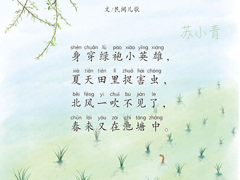 小青蛙儿歌插图