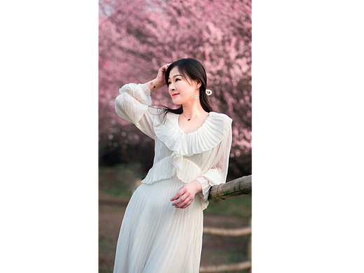 梅花人像