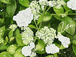 无名花