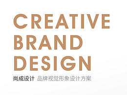 尚成設(shè)計 品牌形象視覺設(shè)計方案②