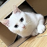 茜茜栗的头像