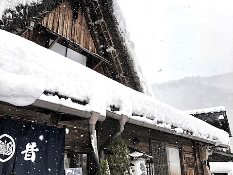 SNOW IN KANSAI 雪染關西