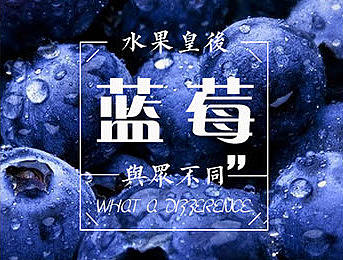 H5（个人主页-ZMTc1NjI1Mjg=） - 移动端网页 - 站酷设计师xiaona小娜原创素材 - 站酷ZCOOL