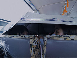 照片会说话：每一张照片都在讲故事