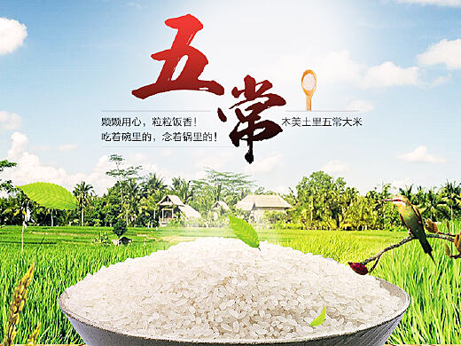 2小时搞定的五常大米详情页设计
