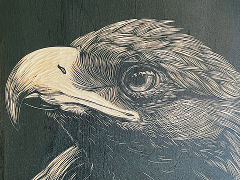 手工雕刻木刻版画·鹰