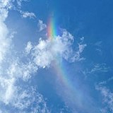 翩翩_peng的头像
