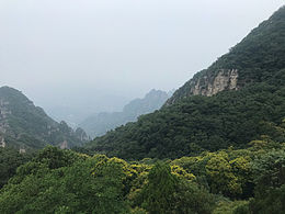 风景
