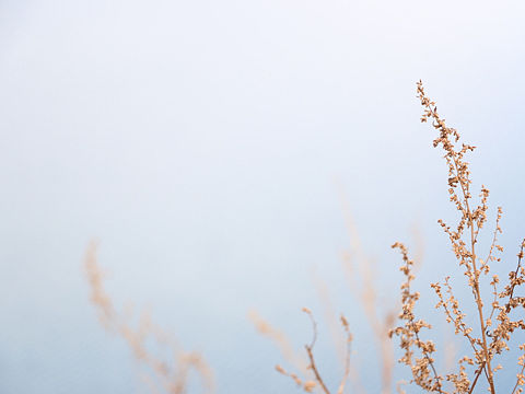 泸沽湖（个人主页-ZMjE4MTkxMjg=） - 风光摄影 - 站酷设计师长颈MIAO原创素材 - 站酷ZCOOL