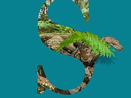 圖形創(chuàng)意