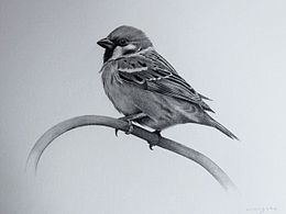 素描 版画