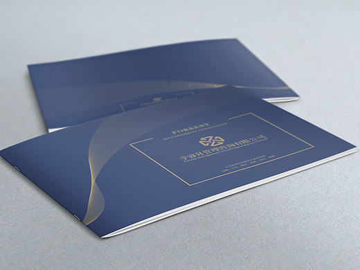 孚睿昇管理咨询有限公司企业画册设计