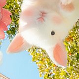Xunicer的头像