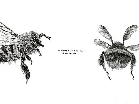 针管笔插画