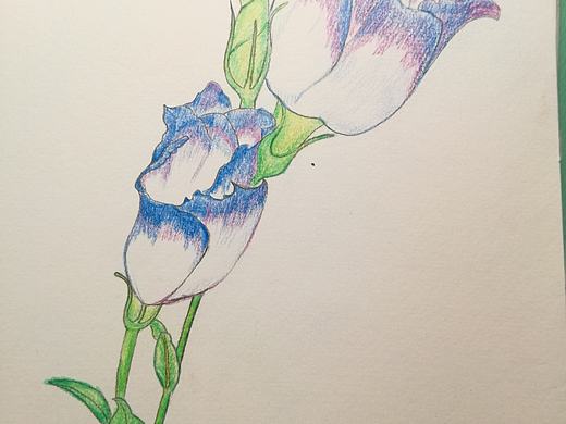 花2