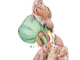 麻雀（个人主页-ZNTY2MTA2OA==） - 绘画 - 站酷设计师璐璐_L原创素材 - 站酷ZCOOL