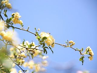 第一次单反（个人主页-ZNDU1Njk3Ng==） - 风光摄影 - 站酷设计师Kiko.li原创素材 - 站酷ZCOOL