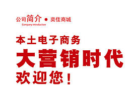 企业简介/年终汇总