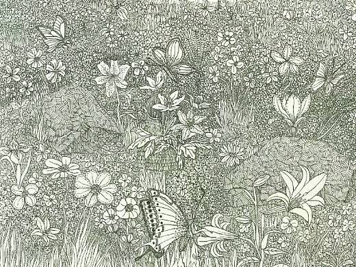 手绘线描插画（个人主页-ZMjU2MDI4MzI=） - 艺术插画 - 站酷设计师一个小木屋原创素材 - 站酷ZCOOL