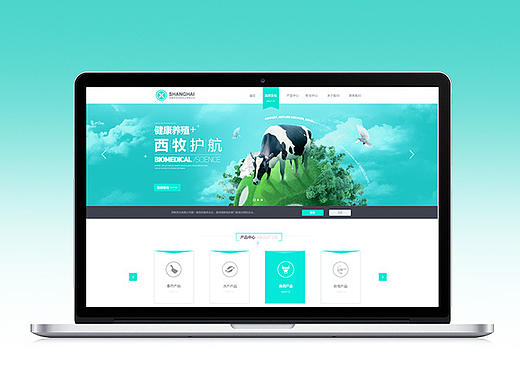 企业网站设计