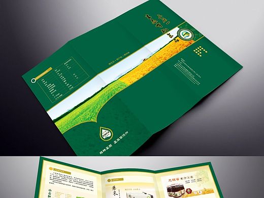 三折页及食品画册版式设计