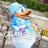 不想动鸭的头像