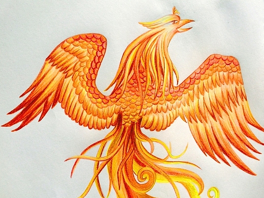 彩铅,凤凰