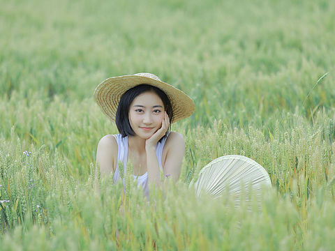 小 森 林 🌾🍃🍅