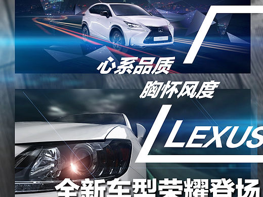 雷克萨斯DM单页