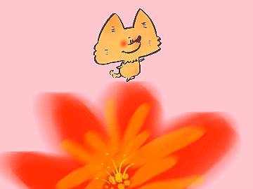 花花的第24天~