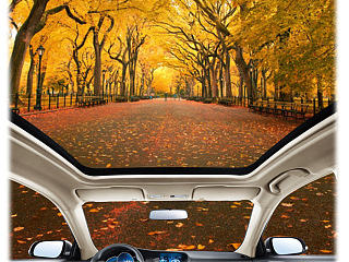 第六届大学生广告大赛 东南汽车 享受全景天窗的美妙（个人主页-ZNTEyMjcwMA==） - 宣传物料 - 站酷设计师瑶菇凉丶原创素材 - 站酷ZCOOL