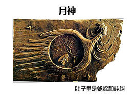 画像砖石