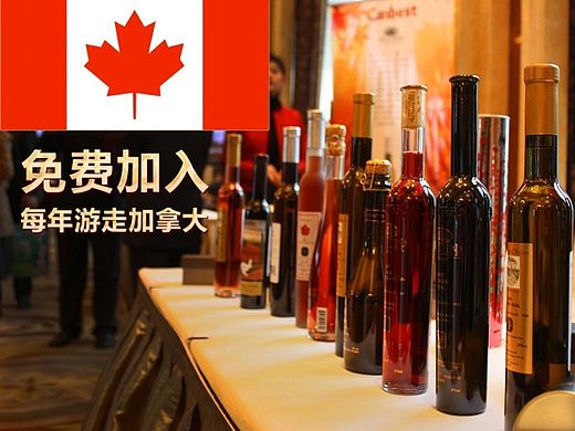 2014年 电子商务/专题活动页  酒类冰酒店铺天猫PC页
