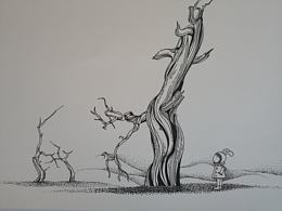 胡杨林