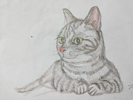 小猫咪