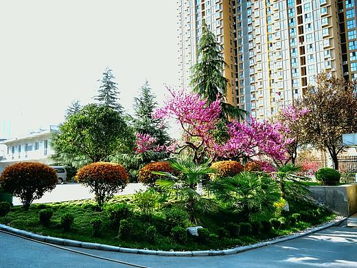 花枝招展的春天。