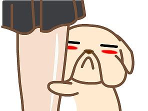 黑眼狗单身日常