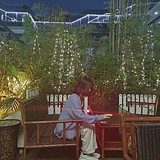 Melon54的头像