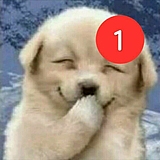 早晨有太阳的头像