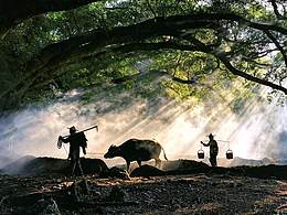 原諒我在同一個(gè)地方拍了一天