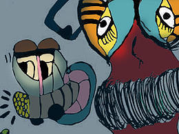 夜空中最亮的眼睛