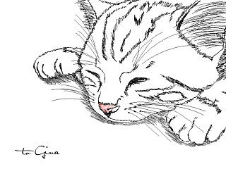 wacom 影拓5 pro 初次使用（个人主页-ZNzQ3MDgyOA==） - 创作习作 - 站酷设计师Boris_Demo原创素材 - 站酷ZCOOL