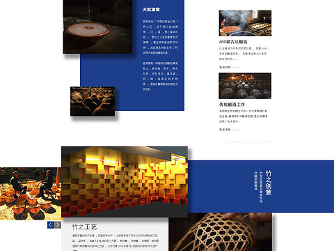 2019年陳年官網項目