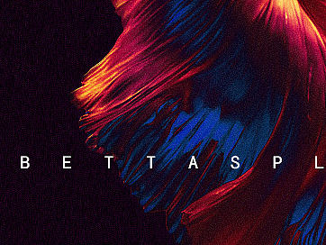 調(diào)色（個人主頁-ZMjE1ODg3ODg=） - 海報(bào) - 站酷設(shè)計(jì)師a22785013原創(chuàng)素材 - 站酷ZCOOL