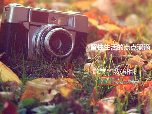 网站