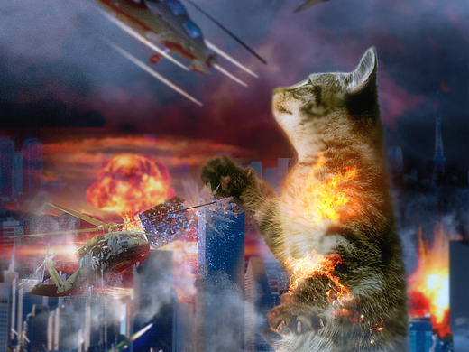 外星猫闯入地球