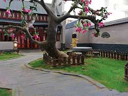 定格动画里的模型