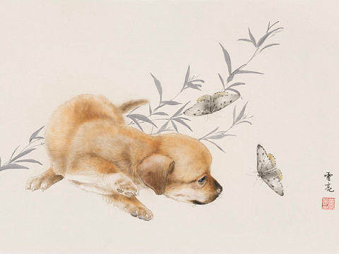 竹子小狗与蝴蝶 国画画狗